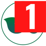 alphasurge.pages.dev favicon
